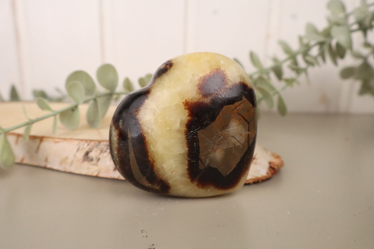 Septarie hart, tweede aanzicht