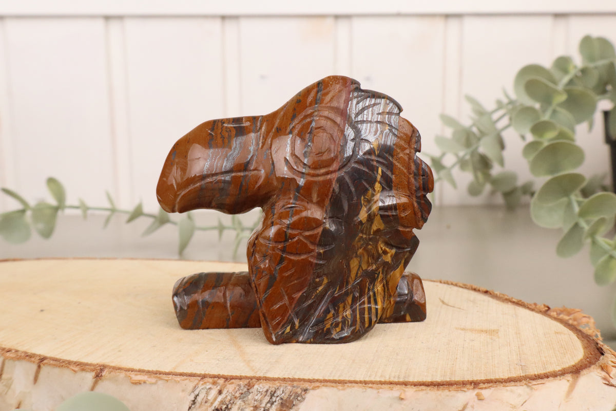 Toekan sculptuur van tijgeroog, 190 gram