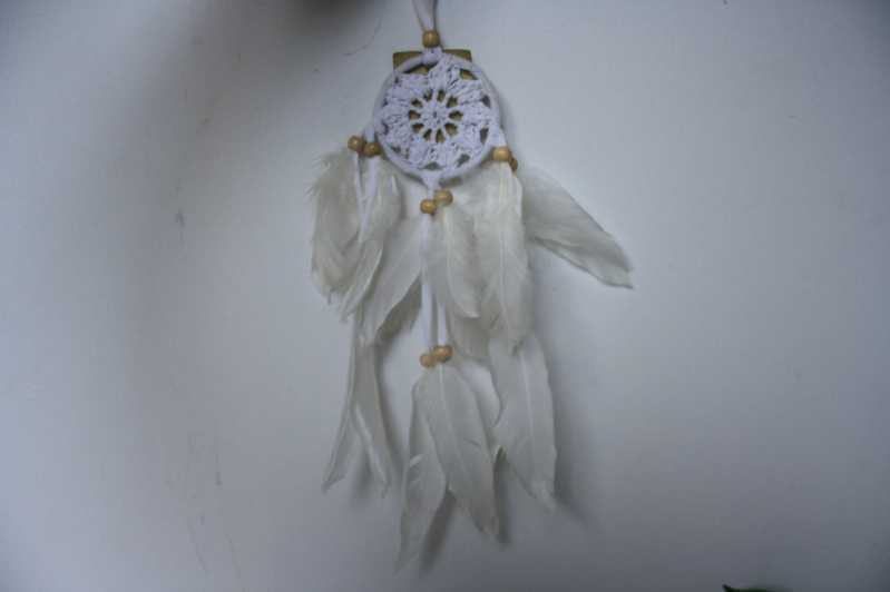 Dromenvanger - Wit