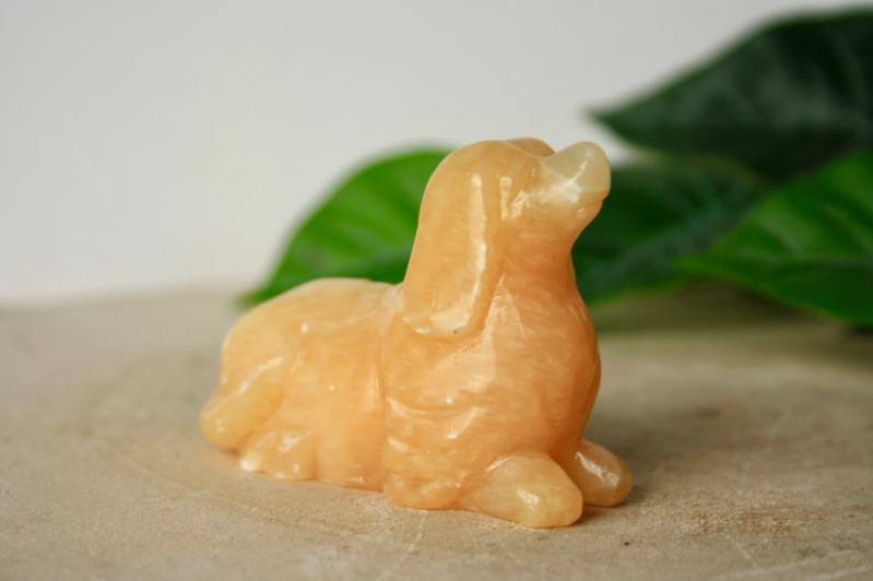 Handgepolijst Hondje (Peru)