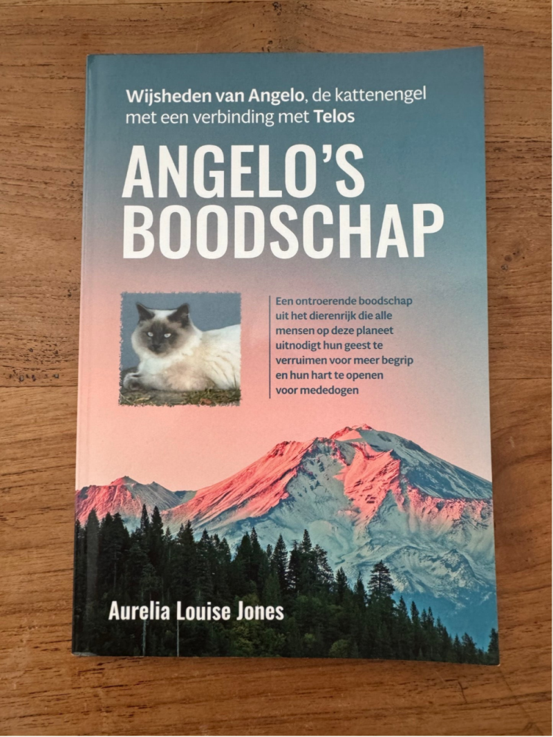 Angelo’s boodschap - Aurelia Louise Jones