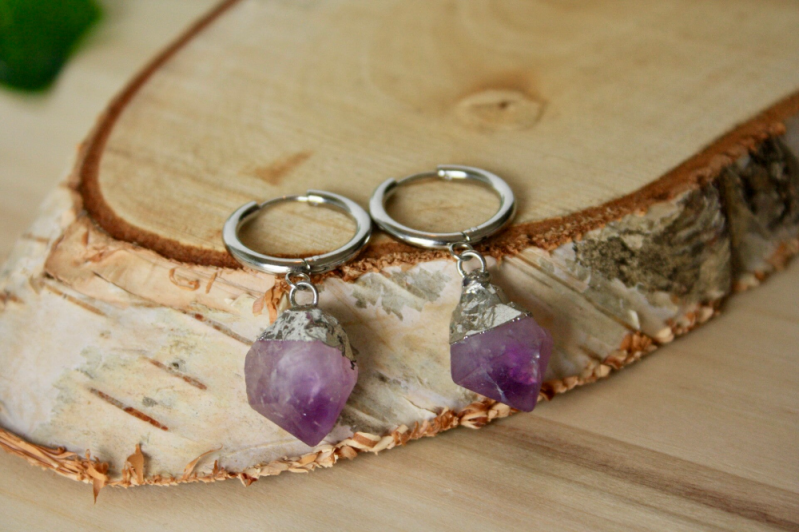 Oorbellen - Amethist - RVS - Zilver