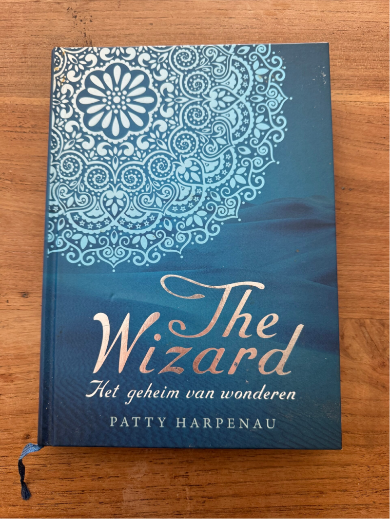 The Wizard - Patty Harpenau