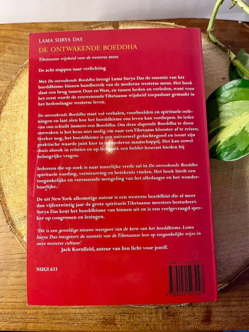De ontwakende boeddha - Lama Surya Das