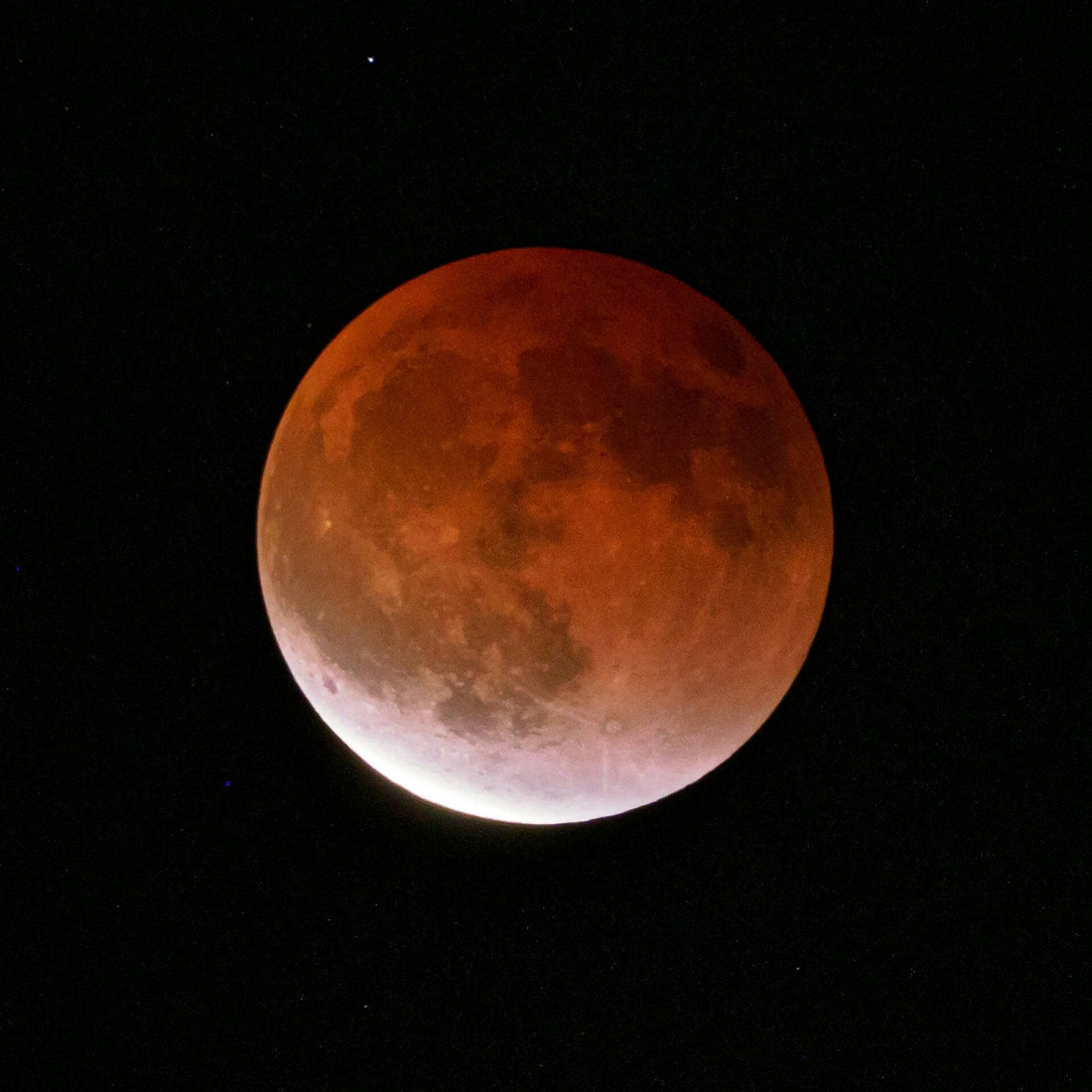 Bloedmaan September 2025