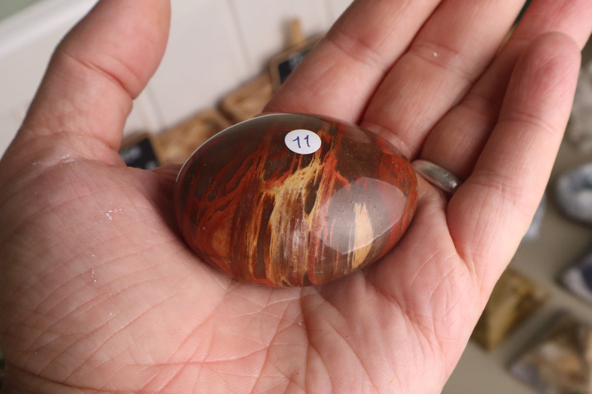 Versteend hout palmsteen, tweede aanzicht