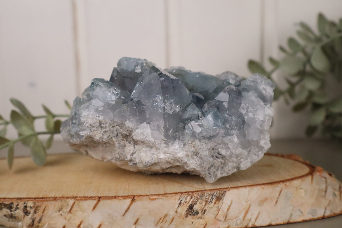 Ruw celestien cluster met lichtblauwe kristallen op wit-grijze moedersteen, 14 x 9,5 cm en 1067 gram