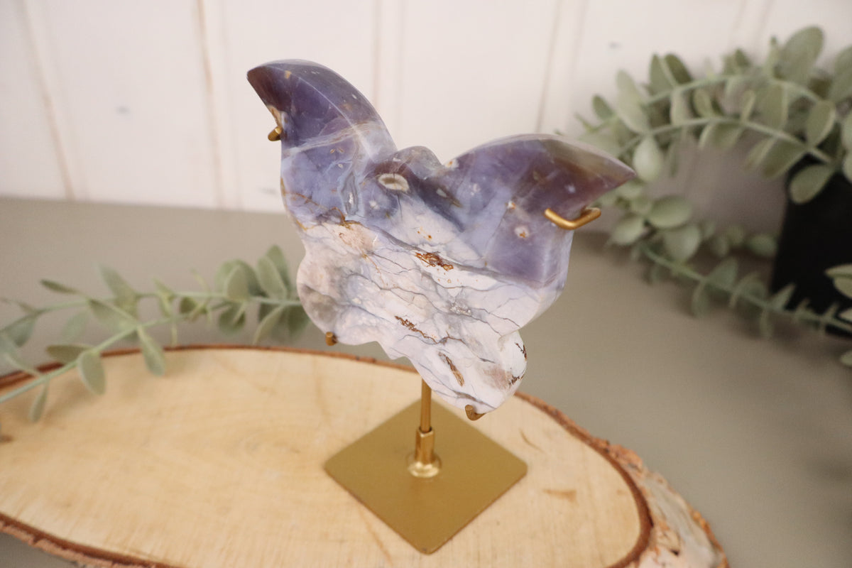 Blauwe chalcedoon vlinder, vijfde aanzicht
