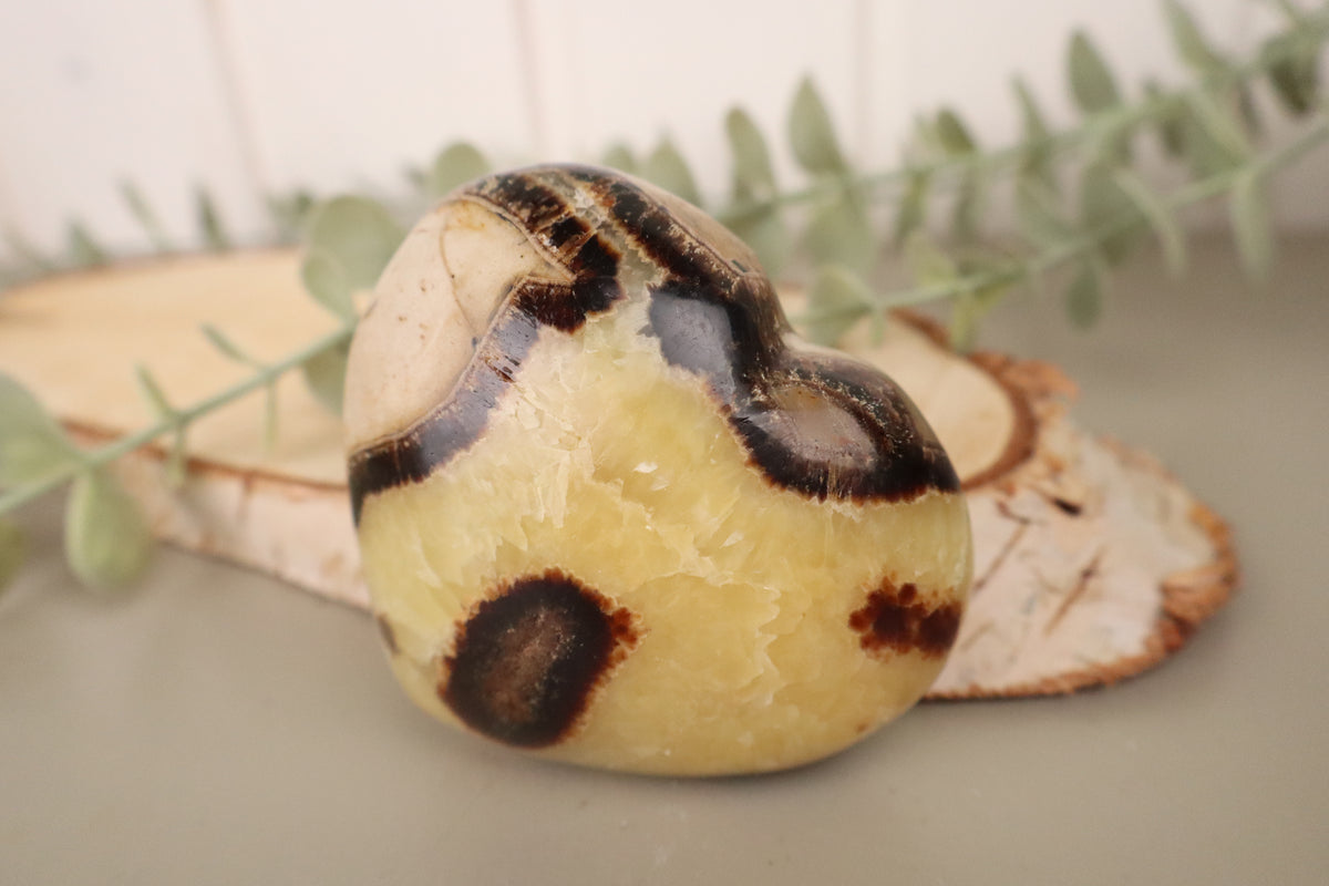 Septarie hart, tiende aanzicht