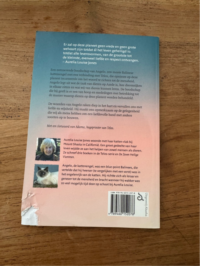 Angelo’s boodschap - Aurelia Louise Jones