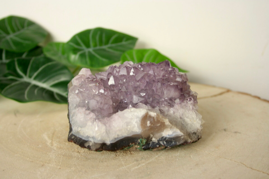 Ruwe Amethist Cluster (750 gram)