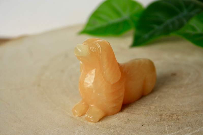 Handgepolijst Hondje (Peru)