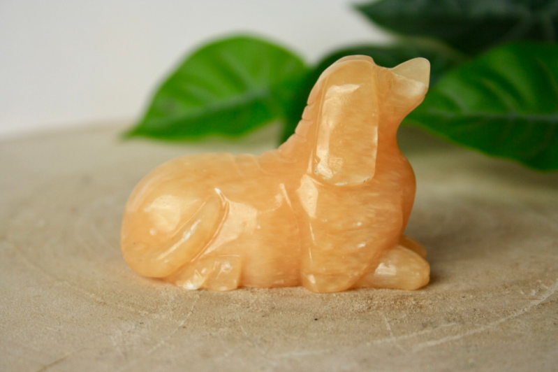 Handgepolijst Hondje (Peru)