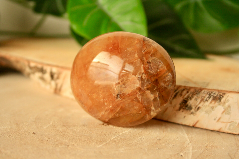 Jumbosteen - Golden Healer Lemurian