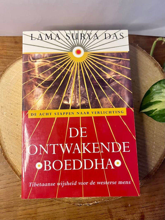 De ontwakende boeddha - Lama Surya Das
